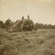 Omc1985.008.079 Image 600dpi